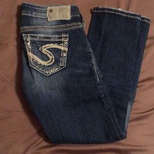 Silver Capris Size 24